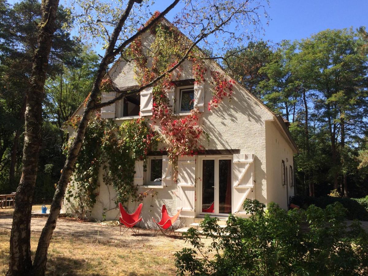 Chambres Au Coeur Du Massif Des Trois Pignons Noisy-sur-Ecole 외부 사진