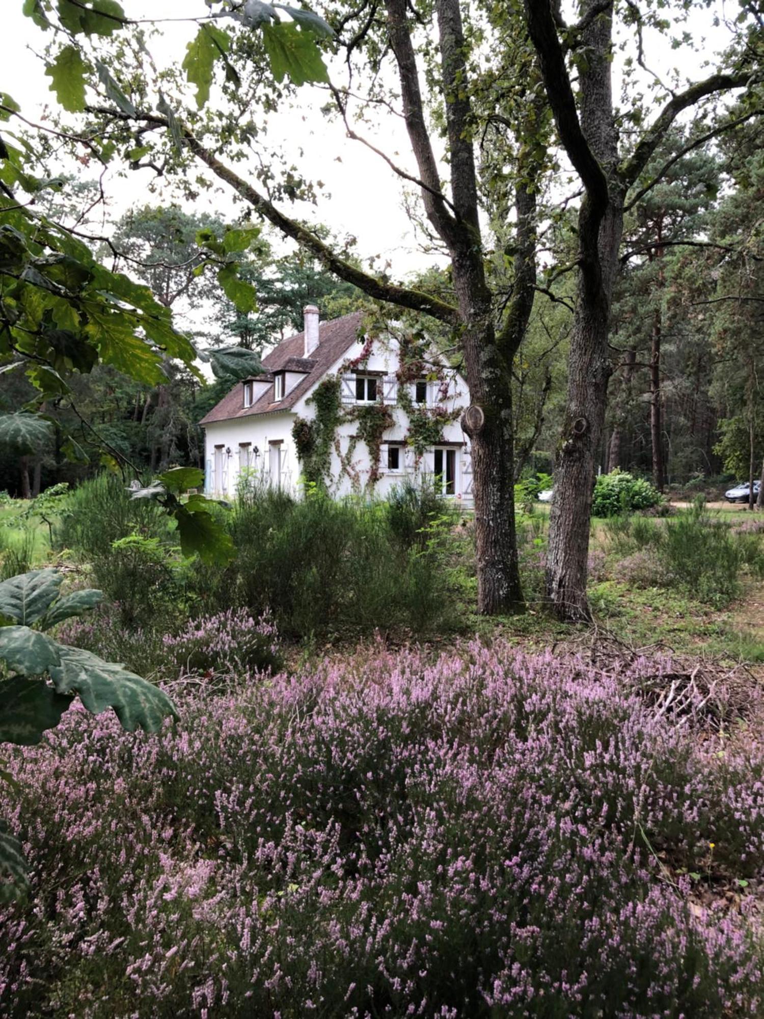 Chambres Au Coeur Du Massif Des Trois Pignons Noisy-sur-Ecole 외부 사진